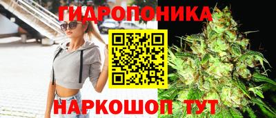 ГАЛЛЮЦИНОГЕННЫЕ ГРИБЫ Кулебаки