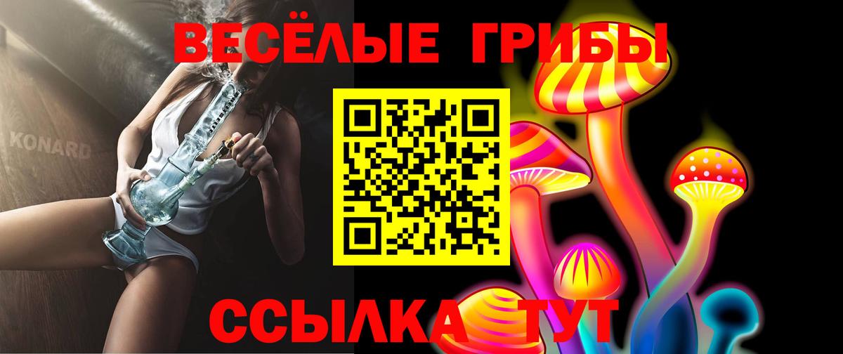 Галлюциногенные грибы GOLDEN TEACHER  Вход с VPN  Дзержинск 